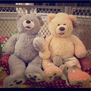 Meet your Posher, Jodi